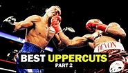 Uppercuts That SHOCKED The Boxing World | Part 2