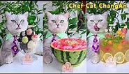 Satisfy Your Tummy With Chef Cat's UNIQUE Handmade Snacks!🍉|Cat Cooking Food | Cute And Funny Cat