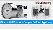 Differential Pressure Gauge - Bellows Type (Model M24)
