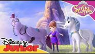 Horse Friends 🦄| Sofia the First | Official Disney Channel Africa