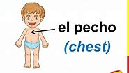 Spanish Lesson 21 - BODY PARTS in Spanish Vocabulary Las partes del cuerpo en español