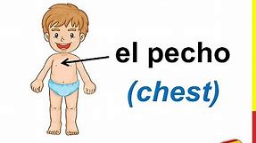 Spanish Lesson 21 - BODY PARTS in Spanish Vocabulary Las partes del cuerpo en español