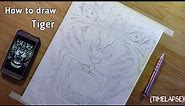 How to draw Tiger🐯 | outline drawing | step by step with gridmethod | for beginners