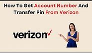 How To Get Account Number And Transfer Pin From Verizon