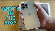 What’s in the Box? iPhone 15 Pro Max First Impressions