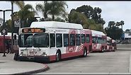Metropolitan Transit System - MTS (San Diego, CA): Bus and Light Rail Compilation