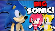 Big Sonic! - Super Sonic Calamity