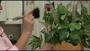 General Housekeeping : How to Clean Silk Plants