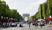 Rénovation, végétalisation : comment les Champs-Élysées vont se transformer