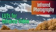 LUTs for Infrared Video and Photography