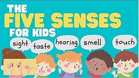 ASL The Five Senses for Kids