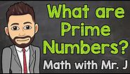 What are Prime Numbers? | Math with Mr. J