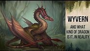 Mysteries of Wyverns - Myths, Legends, and Reality