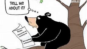 Bears and homes sales cartoon