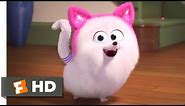 The Secret Life of Pets 2 - Cat Lessons Scene (4/10) | Movieclips
