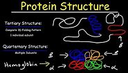 Protein Structure - Primary, Secondary, Tertiary, & Quarternary - Biology