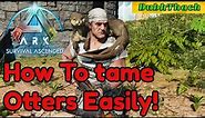 Taming Otters Guide - Ark Survival Ascended