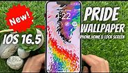 How To Add Pride Wallpaper On iPhone Home & Lock Screen (iOS 16.5)