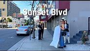 LOS ANGELES Sunset Blvd walk 🇺🇸 West Hollywood CA 4K 2024