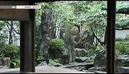Japanese Rock Garden, Daisen-in, Kyoto, Japan