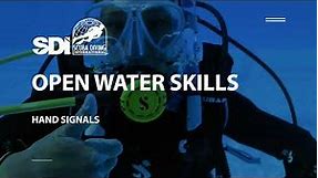 How To Do Common Scuba Diving Hand Signals - SDI Open Water Skills