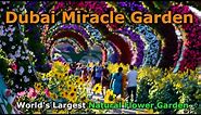 Dubai Miracle Garden - Worlds Largest Natural Flower Garden 🌻 Guide