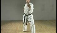 Shito Ryu Karate Lesson