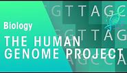 The Human Genome Project | Genetics | Biology | FuseSchool