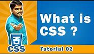 What is CSS (Cascading Style Sheet) Explained in Detail - CSS Tutorial 02
