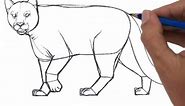 How to draw Puma side view