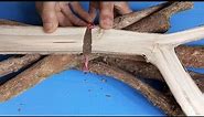 JANGAN PERNAH MENCOBA untuk membuang ranting kayu || Membuat jam dinding mewah dari kayu bekas