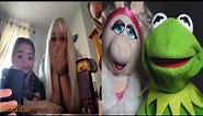 Kermit brings Miss Piggy on Omegle