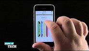 iPhone 5C Quick Tips - How to Save Photos from Safari