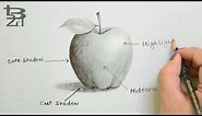 Draw Apple with Pencil | How to do Shading | Learn Light and Shadow