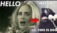 Top 10 funny adele Hello memes pictures