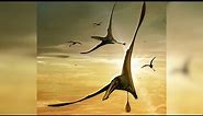 Largest Pterosaur From Jurassic Unearthed in Scotland