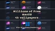 Get 4K MacOS Wallpapers for Windows - MacBook Wallpaper for Windows