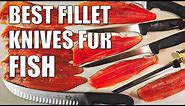 Best Fillet Knives for Fish