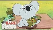 Nom Nom Needs a Friend | We Bare Bears | Cartoon Network