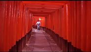 Fushimi-Inari-Taisha temple and gardens, Kyoto, Japan travel video