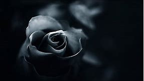 Relaxing Dark Romantic Music – Black Rose ★290 | Spooky, Gothic
