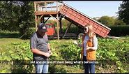 From the Farm Virtual Field Trip: Pumpkin Patch