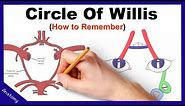 Circle of Willis Mnemonic (How to remember)