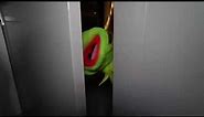 (SCARY) KERMIT THE FROG CALLING EVIL TWIN ON FACETIME AT 3AM!! DO NOT FACETIME YOURSELF AT 3AM