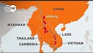 Are dams killing the Mekong river? | DW News