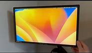 Sceptre 20 Inch Ultra Thin LED Monitor How Good Is It