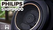 Philips SHP9600 Review - Refining a classic budget open-back headphone