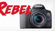 Canon Rebel: A Guide to the Popular Beginner Camera Line