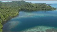 Wild New Britain: Papua New Guinea