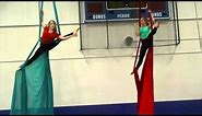 Billie Eilish and Simone Midby do Aerial Silks at Foshay performance